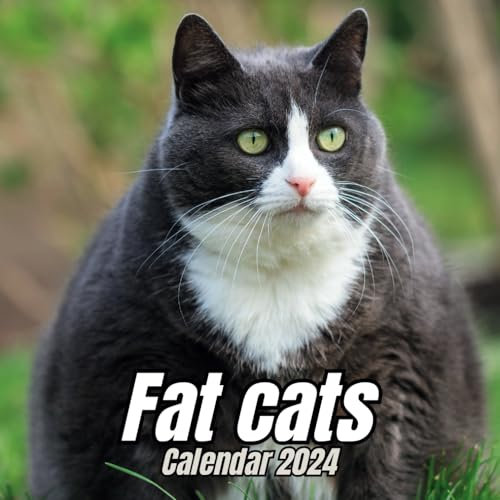 Fat cats Calendar 2024: November 2023 to December 2024 Monthly Organizer To Keep Track Of Dates , Ideal for Home, Office
