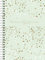 rido/idé Buchkalender Modell Timing 1 (2025) „Confetti“, 2 Seiten = 1 Woche, A5, 160 Seiten, PP-Einband, mint