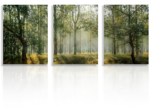 NymphFable Wald Natur Wanddekoration Poster Grüner Baum Landschaft Leinwand Wandposter für Schlafzimmer Wohnzimmer Dekor 12x16 in ungerahmt Satz von 3
