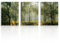 NymphFable Wald Natur Wanddekoration Poster Grüner Baum Landschaft Leinwand Wandposter für Schlafzimmer Wohnzimmer Dekor 12x16 in ungerahmt Satz von 3