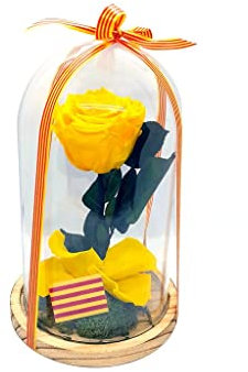 Mundo Eterno | Garden Center Shop | Rosa Preservada Amarilla Sant Jordi en Cúpula de Cristal 22x12 cm | Rosa Eterna Estilo Bella y Bestia Decorativo
