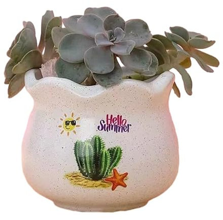 WDZDS DIA 9CM 2PCS Hand Painted Petal Nordic Modern Ceramic Plant Pots Indoor Outdoor For Flower Cactus Succulent Plant Pot
