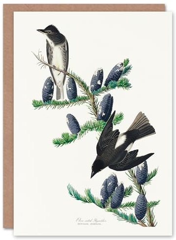 Artery8 John James Audubon Art Card Olive Sided Flycatcher Bird on Fir Tree