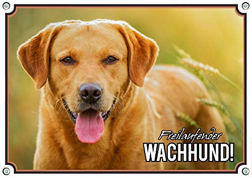 Hundeschild foxred Labrador Retriever - wunderschönes uv-beständiges Metallschild, DIN A4