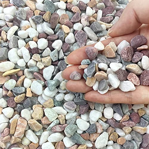 FANTIAN 10lbs Mixed Color Pea Gravel Pebbles for Indoor Plants, 6-9mm Decorative Small Stones for Potted Plants Succulent Vase Filler and Aquarium Gravel