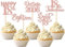 SYKYCTCY 30 Pack Happy 18th Birthday Cupcake Toppers Glitter Awesome Since 2006 Eighteen 18 Fabulous Vintage 2005 Cupcake Picks for 18th Birthday Party Cake Decorations Supplies
