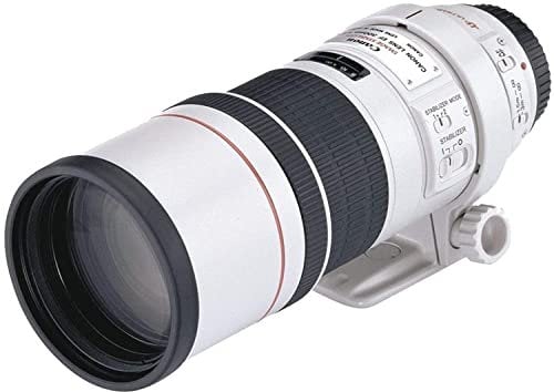 Canon EF 300-mm 1:4,0L IS USM Obiettivo