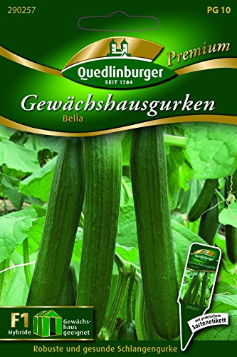 Gurken Gewächshaus- Bella - Cucumis sativus L. QLB Premium Saatgut Gurken