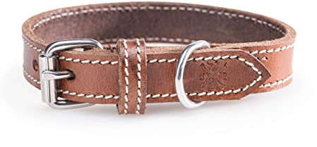 Hundehalsband aus Leder – Robustes & Elegantes Lederhalsband – Hunde Halsband für kleine & große Hunde Tom braun (S (25-33,5cm))