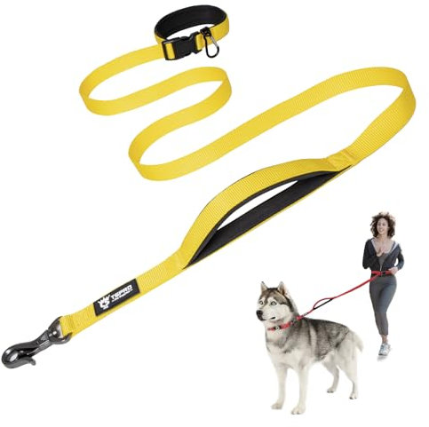 TSPRO Freihandleine Hund für Mittel bis Große Hunde, Verstellbar und Dauerhaft, mit Weichem Gepolstertem Griff und Metallschnalle (Gelb)