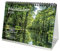Waldzauber DIN A5 Tischkalender für 2024 Baum Bäume Wald Natur - Geschenkset Inhalt: 1x Kalender, 1x Weihnachts- und 1x Grußkarte (insgesamt 3 Teile)