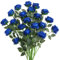 JUSTOYOU 20 PCS Blaue Rose künstliche Blume, Seide blühende Rose mit Stiel, künstliche Rose Bouquet Realistische Blume für Home Table Office Party Hochzeit Garten Arrangements (Blau Blossom Rosen)