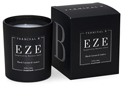 TERMINAL B Buenos Aires Luxuriöse Duftkerze, Schwarze Johannisbeere und Bernstein, auf Reisen inspiriert, 300 ml, 60 Stunden Brenndauer, hergestellt in Los Angeles