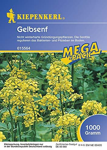 Kiepenkerl 615564 Gelbsenf 1 kg (Gelbsenfsamen)