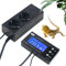 Thermostat numérique LCD pour reptile terrarium