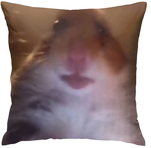 Venanoci Opaseiro Wurfkissenbezug mit Hamstermotiv für Zuhause, Wohnzimmer, weich, quadratisch, für Dekoration, Schlafzimmer, Couch, 45,7 x 45,7 cm