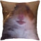 Venanoci Opaseiro Wurfkissenbezug mit Hamstermotiv für Zuhause, Wohnzimmer, weich, quadratisch, für Dekoration, Schlafzimmer, Couch, 45,7 x 45,7 cm