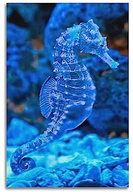 Tierposter Meerestier buntes Seepferdchen Unterwasserposter für Aquarium Marine Museum Poster