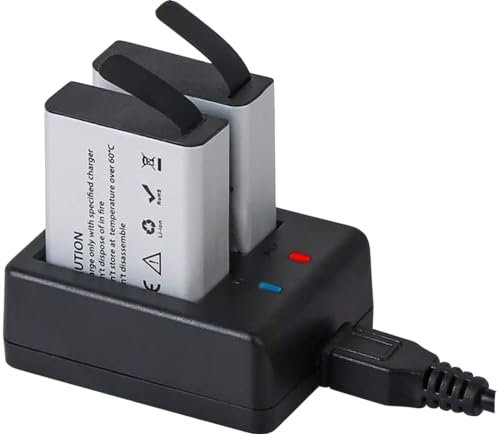 action camera battery 1350×2