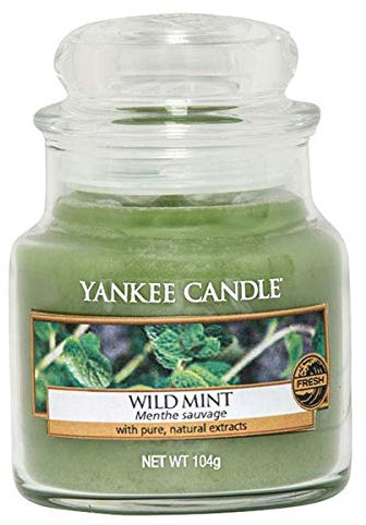 Yankee Candle Wild Mint Jar Candle, Green, Small