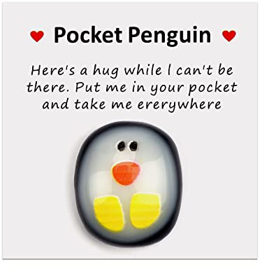 xinrongda Pocket Penguin Hug Andenken, Pinguin Geschenk, Niedlich Pinguin Spielzeug Ermutigende Geschenke, Ermutigendes Geschenk für Freunde, Liebhaber