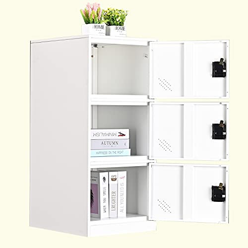MECOLOR Petit casier vertical à un niveau avec verrou à cadenas, 2 ou 3 compartiments de rangement pour employés, maison, bureau, école, enfants (FWH, P3V)