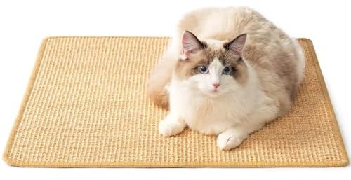 Kratzmatte Katze, Katzen Kratzschutz, Kratzmatte Katze Wand 60 x 40cm Sisal Teppich Katzen Kratzbretter Katze Kratzteppich Katze rutschfest für Sofa Möbel Tür Kratzschutz (Zufällige Farbe)
