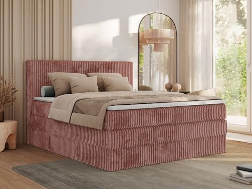 MKS MEBLE Boxspringbett 200x200 Rosa Cord, Boxspringbett mit Matratze H4, Bett 200x200 mit Bettkasten and Kopfteil, Doppelbett mit Stauraum, Polsterbett 200x200 - Tiliano King