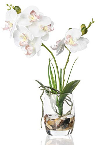Jusdreen Künstliche Bonsai mit Glasvase, lebendige Orchideen, Arrangement, Phalaenopsis-Blumentopf, für Zuhause, Büro, Hausdekoration (Glasvase/weiße Orchidee)
