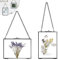 Nizirioo 2PCS Hängend Bilderrahme Glasrahmen Wandbehang: Bilderrahmen aus Glas und Metall, Bilderrahmen Durchsichtig Beidseitig für gepresste Blumen Fotos(Schwarz, 13x18cm, Rechteck)