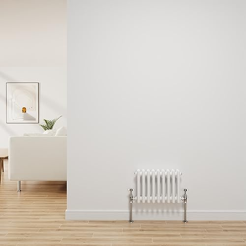 NRG Radiatore tradizionale bianco lucido in ghisa, 3 colonne, riscaldamento centralizzato, 300 x 427 mm