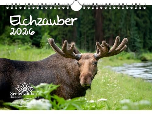 Elchzauber Elche DIN A4 Kalender für 2026 - Seelenzauber