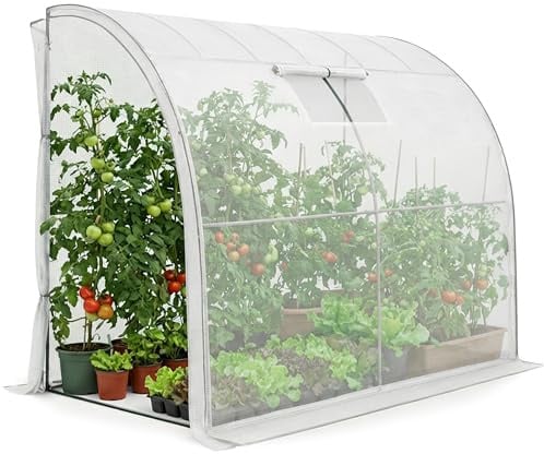 AKORD Serre Adossée de Jardin avec Châssis en Acier et Film PE Universelle, 1 Porte et 1 Fenêtre, 100x200x210 cm, Blanc