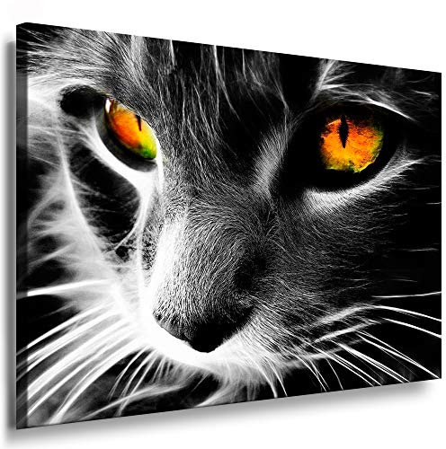 Julia-Art - Bilder Katze Leinwand mit Keilrahmen 60 x 40 cm Leinwandbild XXL Wandbild Tiere Kunstdrucke Tierwelten Bild Wanddesign Wanddekoration c-642v-205