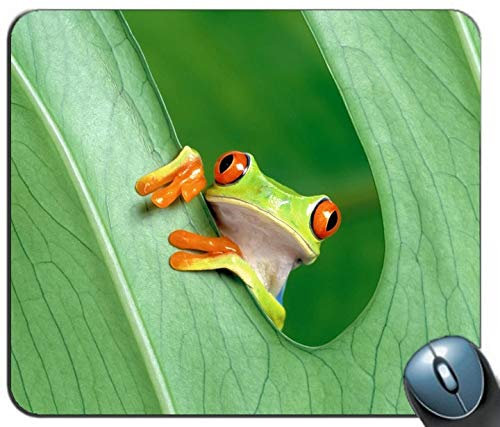 Yanteng Der Frosch personalisierte rechteckige Mousepad, Druck - Skid - Komfort maßgeschneiderte Computer - Maus - Pads Mousepad - Mousepad