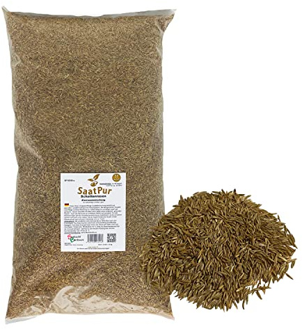 SaatPur® Rasensamen Schattenrasen 2,5kg für ca. 75 m², Mehrjährige Rasemischung aus mehreren Rasenarten, meistens 4 bis 5, satt grün, schnellkeimend, hitzetolerant, Neusaat und Nachsaat