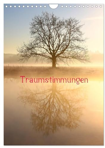 Traumstimmungen (Wandkalender 2026 DIN A4 hoch), CALVENDO Monatskalender: Nebelstimmungen an der Ruhr (CALVENDO Natur)