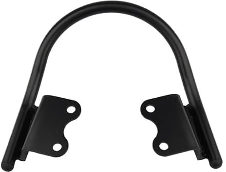 Beifahrer Haltegriff Für Speed ​​Twin 1200 2019-2024 Motorrad Passagier Hinten Haltegriffe Sitz Armlehne Griff(Black)