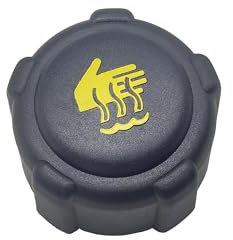 VSREI Tappo Radiatore Auto, Tappo Vaschetta Radiatore, Tappo Refrigerante Radiatori ABS compatibile con RENAULT NISSAN OPEL, Come Micra Note Qashqai NV200 etc, OEM: 8200048024 4408066 91166192