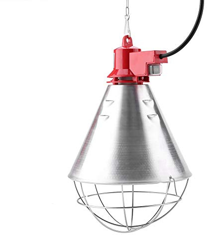 Tnfeeon Infrarot-Wärmelampe, 250 W Rotlichtlampe mit niedrigem Einstelllicht für Reptilien, Amphibien, Küken, Schweine und andere Tiere (EU-Stecker 220 V)