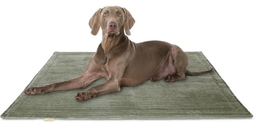 Knuffelwuff Hundedecke Timor 120x80cm Khaki - Bequeme und Pflegeleichte Liegedecke aus weichem Cord - waschbar - für große, mittelgroße und kleine Hunde