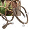 Reptile Climbing Branch 4.92ft Flexible Reptile Jungle Vines Terrarium Rattan Pet Habitat Dekor mit Saugnäpfen für Chameleon Lizards Gecko Climbing(L)