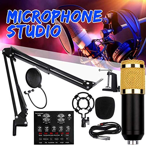 RUHEN V8 Condenser Microphone Bundle With BM-800 Live Sound Card,Mini Sound Mixer Board with Multiple Sound Effects,Adjustable Mic Suspension Scissor Arm,Metal Shock Mount and Double-Layer