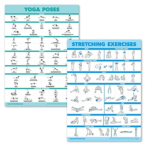 Palace Learning Yoga- und Dehnübungsposter – Set mit 2 laminierten Tafeln – Yoga-Positionen und Dehnübungen [leicht] (laminiert, 45,7 x 61 cm)