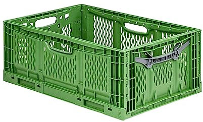 PROREGAL Stabile Profi-Klappbox Chameleon in Industriequalität | HxBxT 23x40x60cm | 45 Liter | klappbar lebensmittelecht | Eurobox Eurobehälter Transportbehälter Stapelbehlter Faltbox