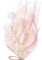 The Baked Studio - Dried Flowers For Cakes Decoration And Crafts With Pampas And A Pink Palm Spear (Pink & White)