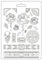 Stamperia - Soft Mould A5 for Scrapbooks, Albums, and Bullet Journals, Suitable for Soft Clay, Ceramic Powder and More, Perfect for Crafts and Gifting (Sir Vagabond in Fantasy World Rose and Borders)