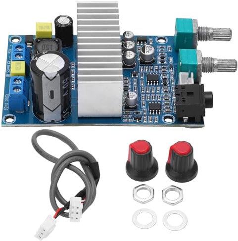 Tarjeta amplificador 100W, tarjeta amplificador mono, módulo amplificador base, módulo amplificador de audio mono digital para karaoke, Ktv, cine en casa