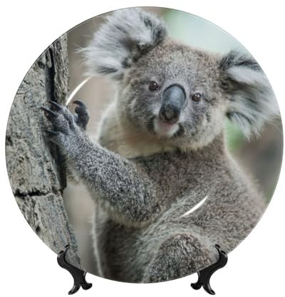 Feehsp Koala, assiette décorative en porcelaine tendre avec présentoir,10 pouces