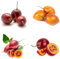 semillas de tomatillo, semillas de árbol tomate, raras jardín plantas frutas árbol frutal árboles para el jardín balcón invernadero variedades antiguas hortalizas invierno fruta fresca 85pcs
